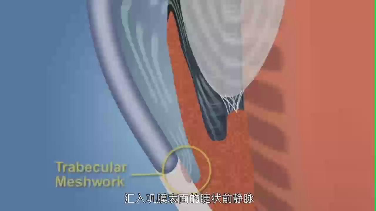 &#26131;&#28216;&#32593;&#39029;&#29256;&#45;&#26131;&#28216;&#40;&#20013;&#22269;&#41;